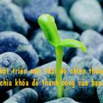 minh ở Vũng Tàu, Bà Rịa - Vũng Tàu - vui tính, hòa đông, ưu nhìn