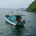 Arb ở Quận 12, TP Hồ Chí Minh - Thích oral