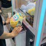 Sen ở Long Xuyên, An Giang - Vui vẻ