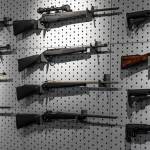 Ha van ở An Phú, An Giang - Cao to