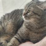 Nam Hoang ở Quận 7, TP Hồ Chí Minh - Mình 26t ở quận 7 <br>Dễ nhìn,