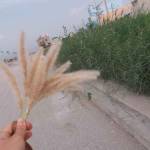 Hoàng vy ở Gò Vấp, TP Hồ Chí Minh - Tìm fwb hoặc ons gò vấp xập xì