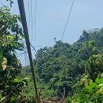 Bui van manh - tim ban trai da ly hon qua so dien thoai