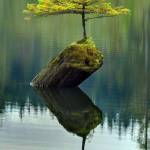 Nguyên ở Hóc Môn, TP Hồ Chí Minh - Bình thường