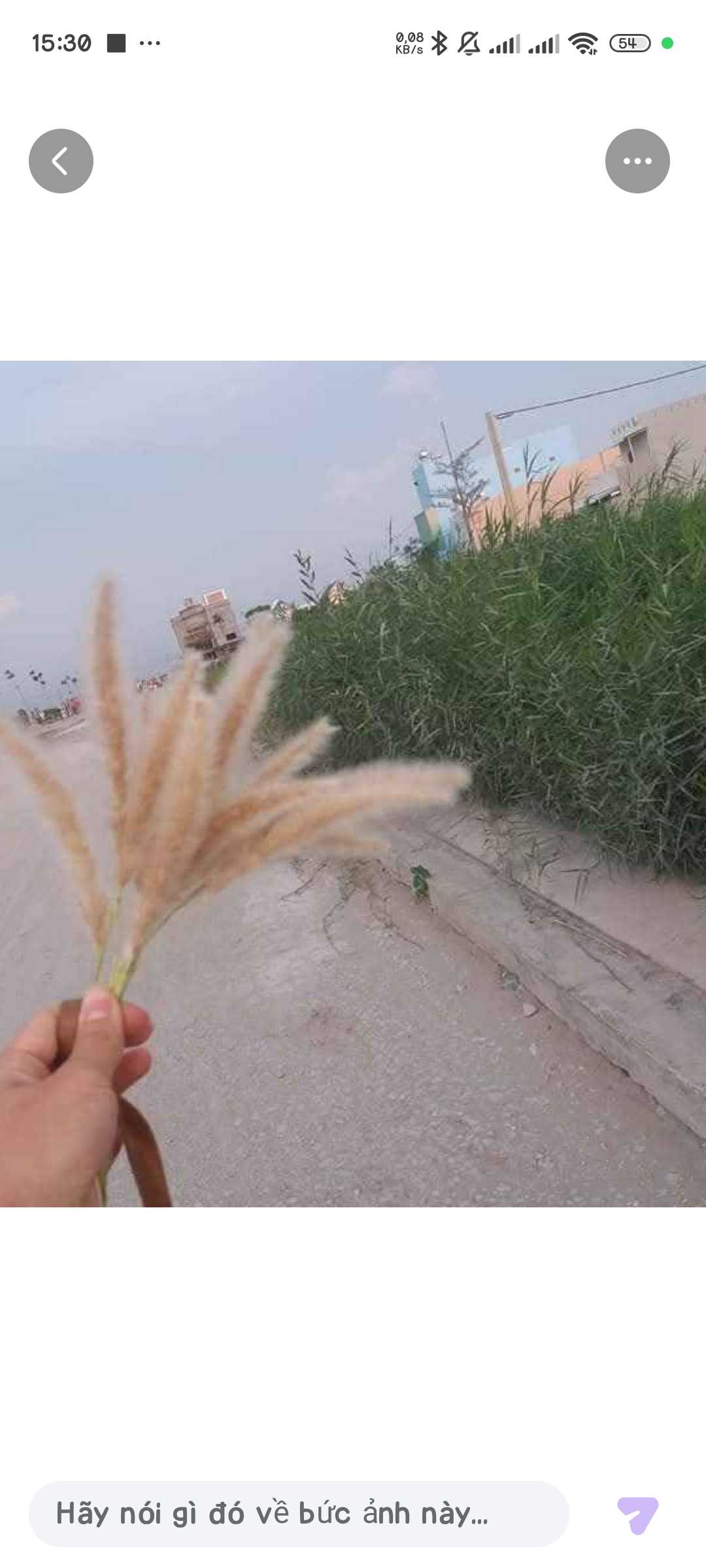 Hoàng vy (Nữ) Độc thân - Tìm FWB ONS tại Gò Vấp TP Hồ Chí Minh