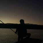 HO NGOC KY - tim ban trai da ly hon qua so dien thoai