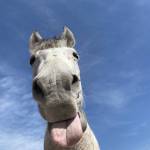 John ở Quận 9, TP Hồ Chí Minh - Tìm bạn bè