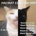 Trần Văn Q ở Ngũ Hành Sơn, Đà Nẵng - tìm FWB