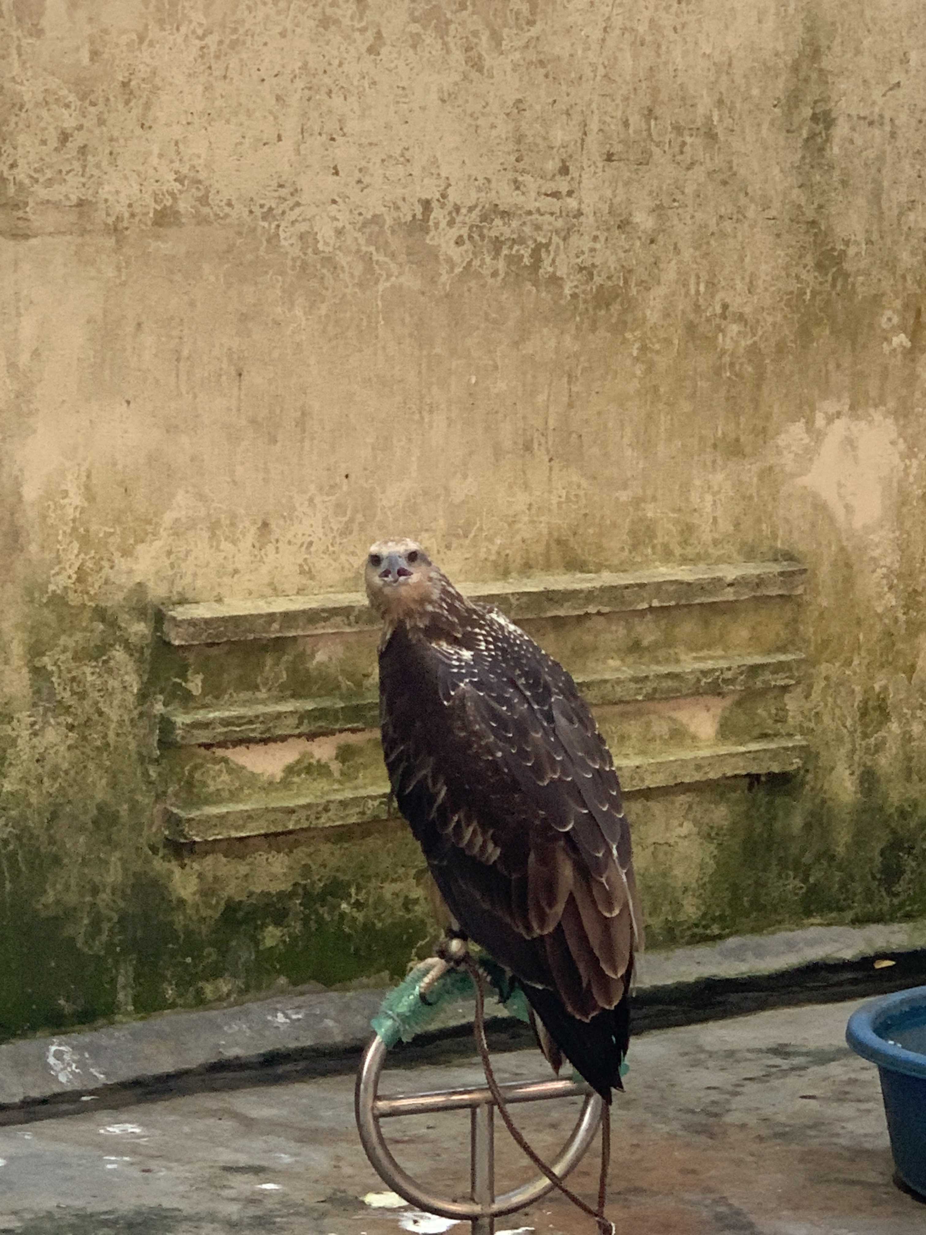 photos | Lovefaith (Nam)  -  tại  