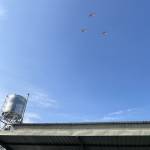 Mr Lực ở Quận 2, TP Hồ Chí Minh - Tìm bạn tâm sự kín đáo