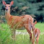 Kim ở Ninh Kiều, Cần Thơ - Không ốm, không mập,da hơi ngâ