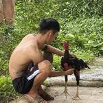 Nguyễn Dan ở Phù Cát, Bình Định - Muốn tìm bạn chịch dâm