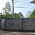 Quang Thah ở Biên Hoà, Đồng Nai - khô khan