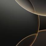 Quockha ở Ninh Kiều, Cần Thơ - Cần tìm fwb ons