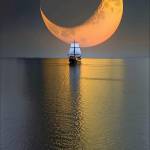 tim ban gay top bot Minh