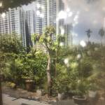 Huy ở Quận 9, TP Hồ Chí Minh - Thích tự do