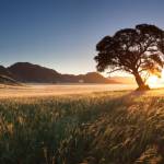 Tuấn Anh ở Nhà Bè, TP Hồ Chí Minh - hoà đồng, vui vẻ