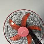 Bé Tôm ở Tân Phú, TP Hồ Chí Minh - Muốn tìm người yêu