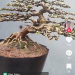 Hiền ở Bến Lức, Long An - Tìm bạn