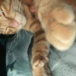 Khôi Đăng ở Tân Phú, TP Hồ Chí Minh - Mình tìm một mối qh không ràng