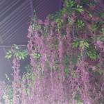 Lê thị kiều mai tim ban les fem qua so dien thoai