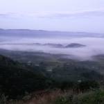 Hao ở Quận 12, TP Hồ Chí Minh - Không