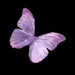 Nguyen Emily - tìm bạn gái đã ly dị chồng