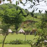 Meow meow ở Thanh Khê, Đà Nẵng - Vui vẻ, yêu đời