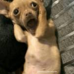 Khang ở Long Điền, Bà Rịa - Vũng Tàu - Tìm fwb