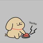 tim ban gay top bot nna