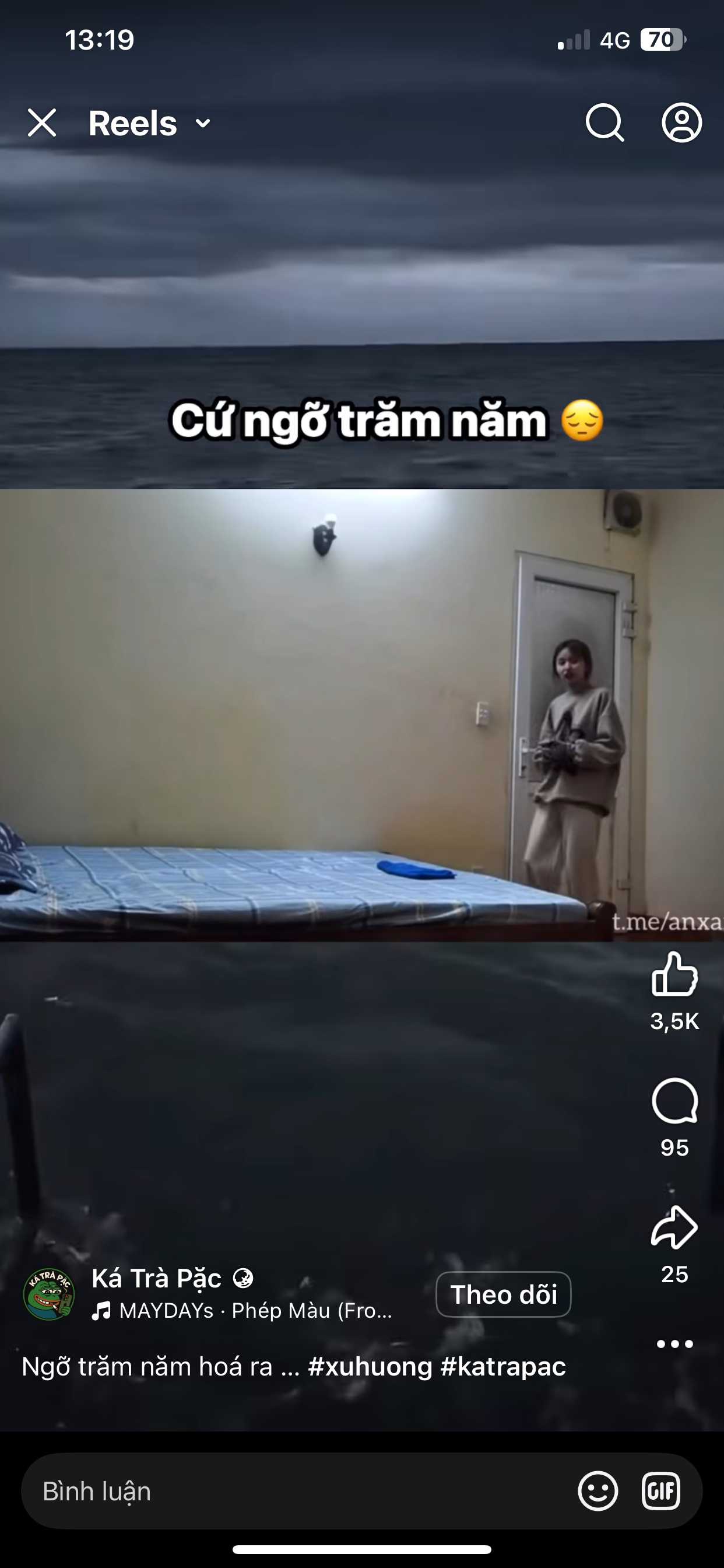 photos | Vlchua123 (Nam)  -  tại  