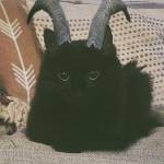 Minh Đông ở Ninh Kiều, Cần Thơ - m70 tìm bạn tình nữ