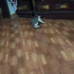 tim ban gay top bot Nguyen manh