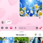 Hườngbin ở Kiến Thụy, Hải Phòng - Thick thể thao