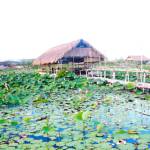 Kendu ở Tuy Phước, Bình Định - Vv