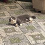 VincyP ở Từ Sơn, Bắc Ninh - ….