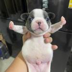 Đức minh ở Cao Lãnh, Đồng Tháp - Độc thân