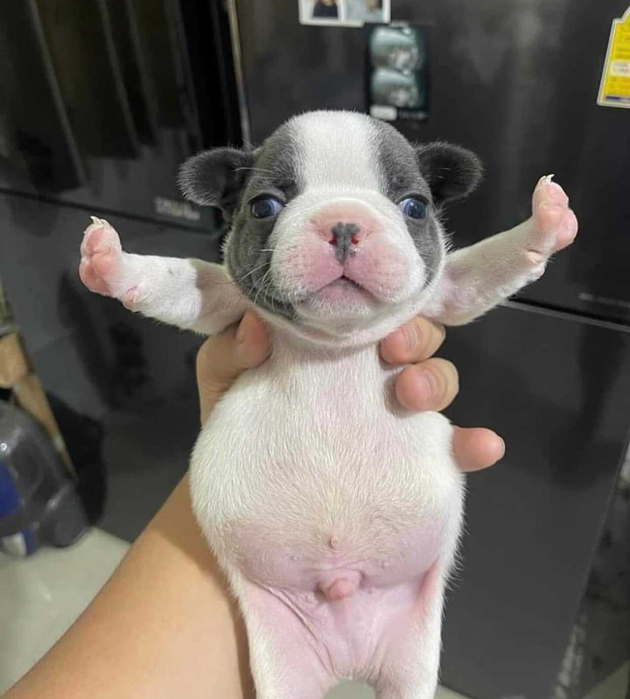 Đức minh (Nam) Độc thân - Tìm FWB ONS tại Cao Lãnh Đồng Tháp