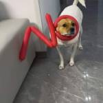 Trần Đức ở Cái Răng, Cần Thơ - Nam cao ráo ưa nhìn