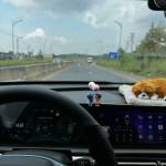 Quoc Bao ở Quận 12, TP Hồ Chí Minh - cần tìm bạn đi dạo đi ăn đà lạ