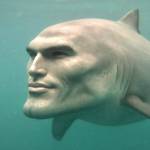 tân ở Thanh Khê, Đà Nẵng - mình là tân