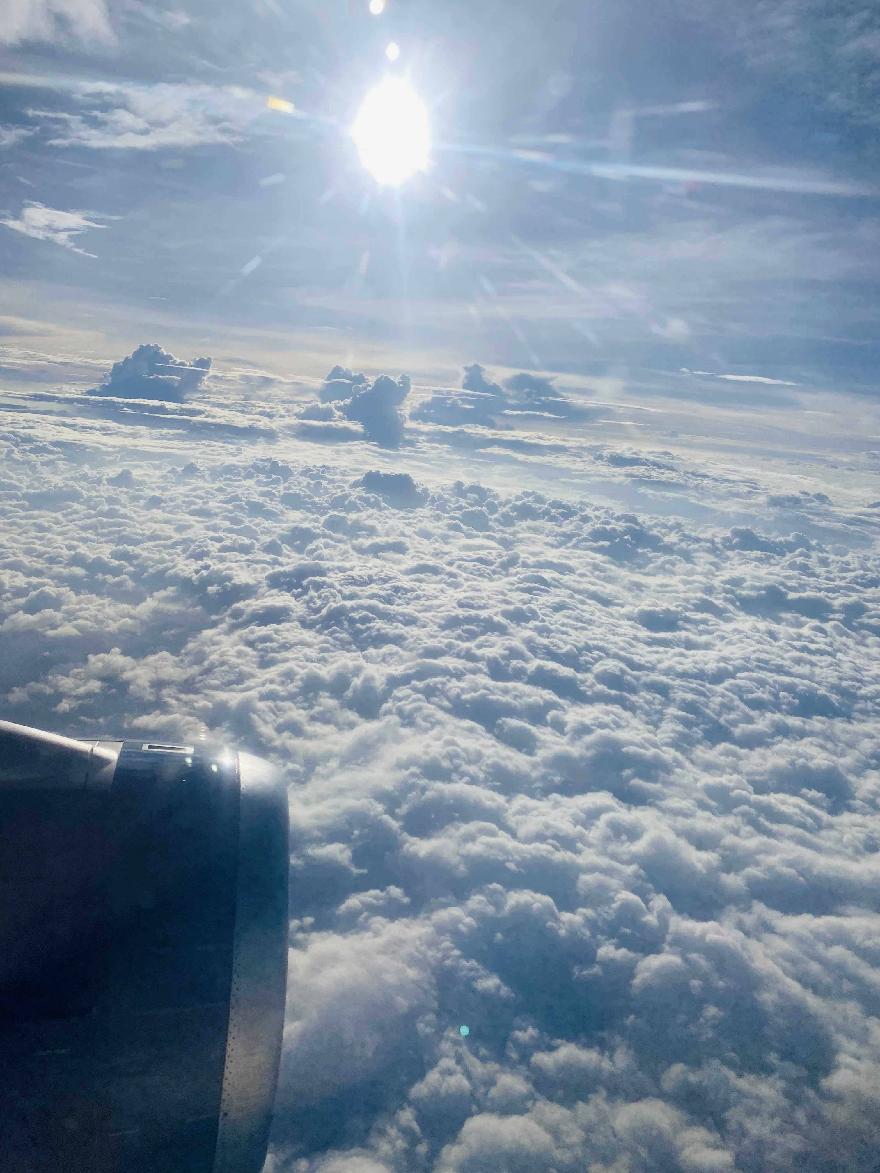 Nguyễn nguyên (Nam) Độc thân - Tìm FWB ONS tại Gò Vấp TP Hồ Chí Minh