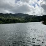 donan ở Ninh Kiều, Cần Thơ - nhạt