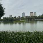 Công ở Mỹ Đức, Hà Nội - …