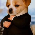 Vũ Hoài an ở Bàu Bàng, Bình Dương - Ko có j để nói