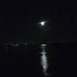 Trương D.  ở An Dương, Hải Phòng - Độc thân, tìm bạn hẹn hò