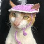 Long nhi ở Gia Lâm, Hà Nội - Thích xem phim