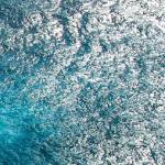 Runtz ở Bình Tân, TP Hồ Chí Minh - nothing!!!