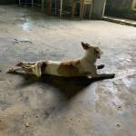 Đăng ở An Biên, Kiên Giang - Muốn tìm ons