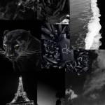 Nguyễn Min ở An Dương, Hải Phòng - 